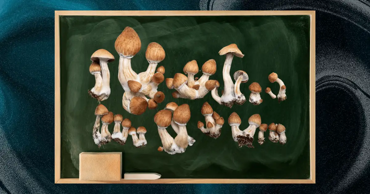 Magic mushroom school is in session