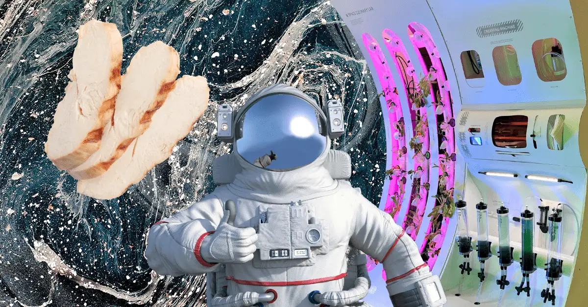 How to barbecue in outer space