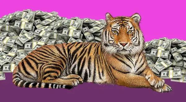 Earning its stripes: tech bid to crack tiger trade